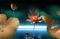 天貓店鋪怎樣推廣引流？