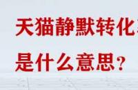 天貓靜默轉(zhuǎn)化率是什么意思？
