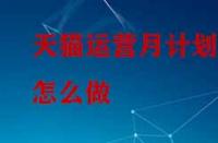天貓運(yùn)營月計(jì)劃怎么做？