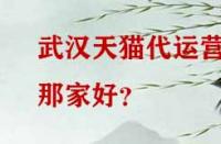 武漢天貓代運營那家好？