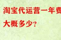 淘寶代運營一年費用大概多少？