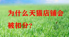 天貓代運(yùn)營(yíng)