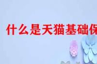 什么是天貓基礎(chǔ)保障？它的作用是什么？
