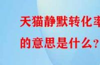 天貓靜默轉(zhuǎn)化率的意思是什么？