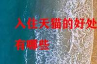 入住天貓的好處有哪些？它的優(yōu)勢在哪里？