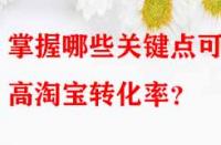 掌握哪些關(guān)鍵點可提高淘寶轉(zhuǎn)化率？