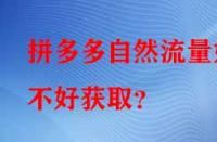 拼多多自然流量好不好獲取？