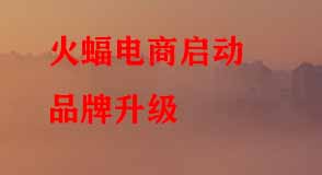 淘寶代運(yùn)營(yíng) 淘寶代運(yùn)營(yíng)