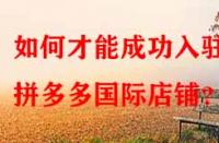 如何才能成功入駐拼多多國際店鋪？