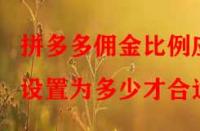 拼多多傭金比例應(yīng)設(shè)置為多少才合適？