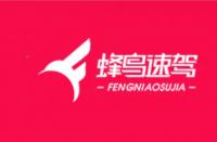 電商好拍檔：攜手“蜂鳥速駕”，輕松打造“明星”網(wǎng)店